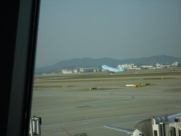 SDC14102_resize.JPG